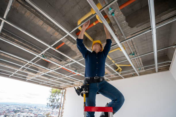 Best Local Plumber Services  in St Charles, MO
